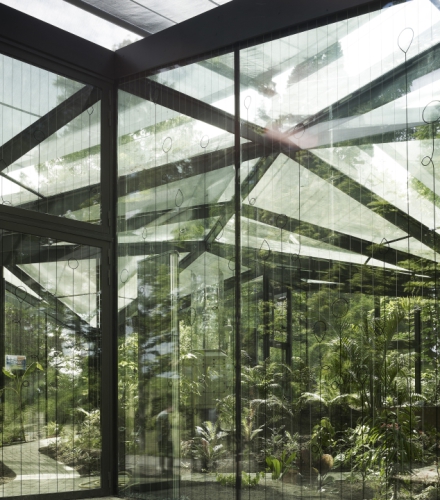 Ботанічний сад